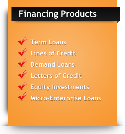Business Loan Program